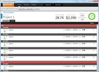 Report for a single project showing time entry details