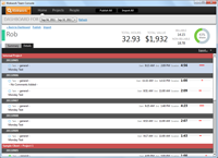 Report for a single user showing time entry details