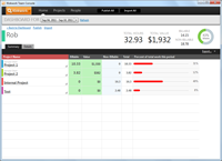 Report for a single person showing project summaries